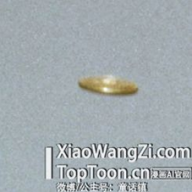 外网疯传的UFO